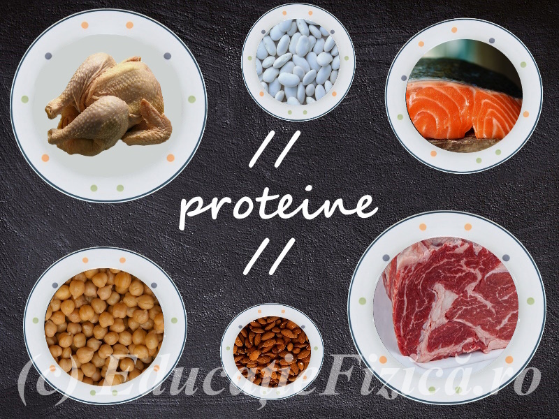 Alimente bogate în proteine