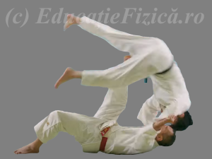 Tehnici judo