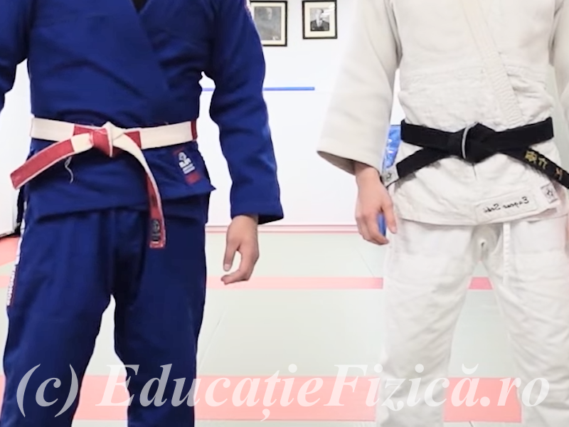 Ordine centuri judo