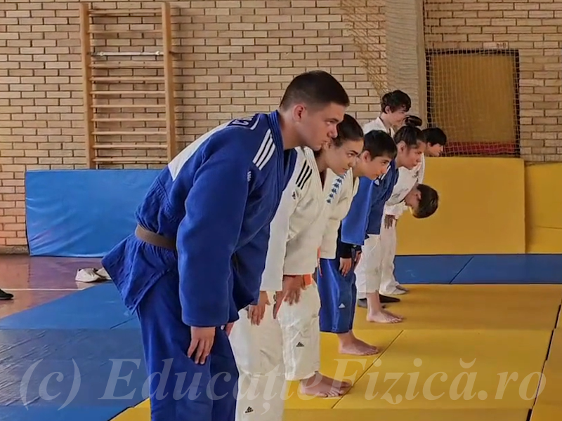 Salutul în judo